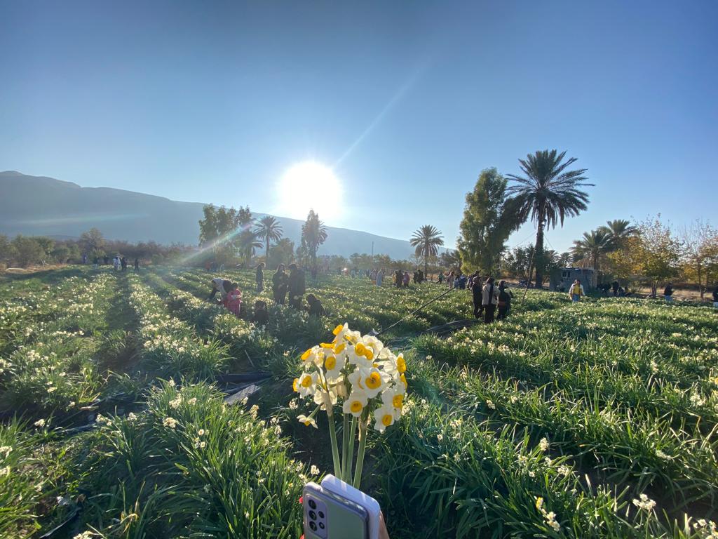 اردوی یک روزه نرگس زار خفر شیراز